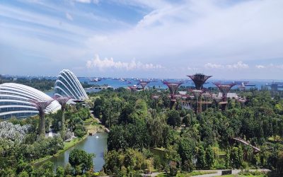 Das grüne Singapur entdecken und geniessen